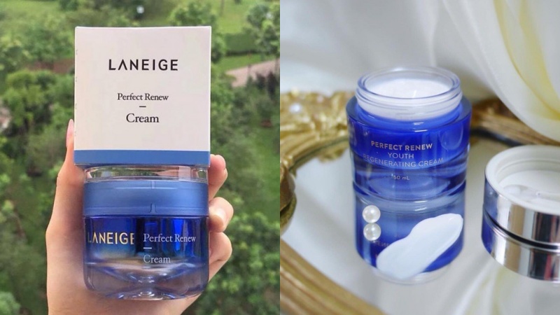 Thành phần chính Laneige Perfect Renew Cream EX