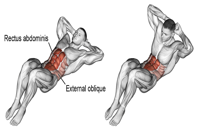 Bài tập Crunch tác động mạnh mẽ lên cả cơ trên và cơ dưới bụng