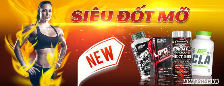 Fat burner giam mo gia re ha noi tphcm