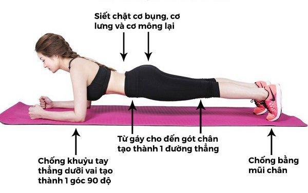 Plank giảm mỡ bụng, tác dụng và các bài tập Plank hiệu quả