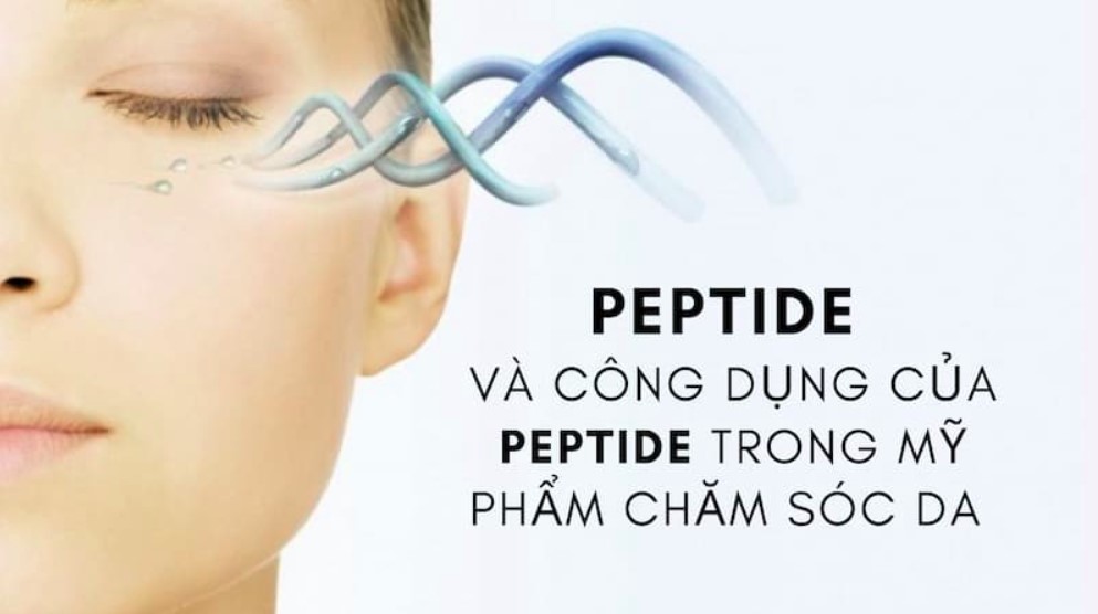 Tác dụng của polypeptide trong làm đẹp