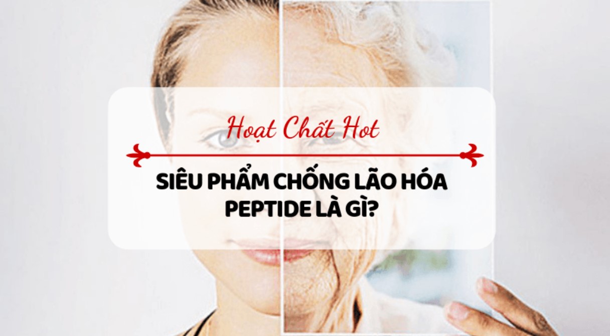 Polypeptide là gì?