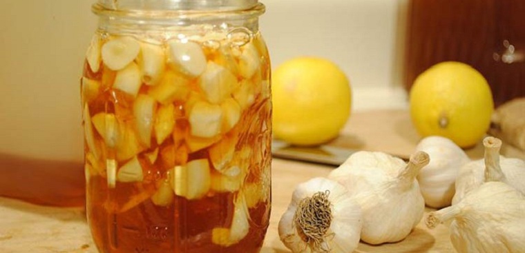 chữa mỡ máu bằng tỏi