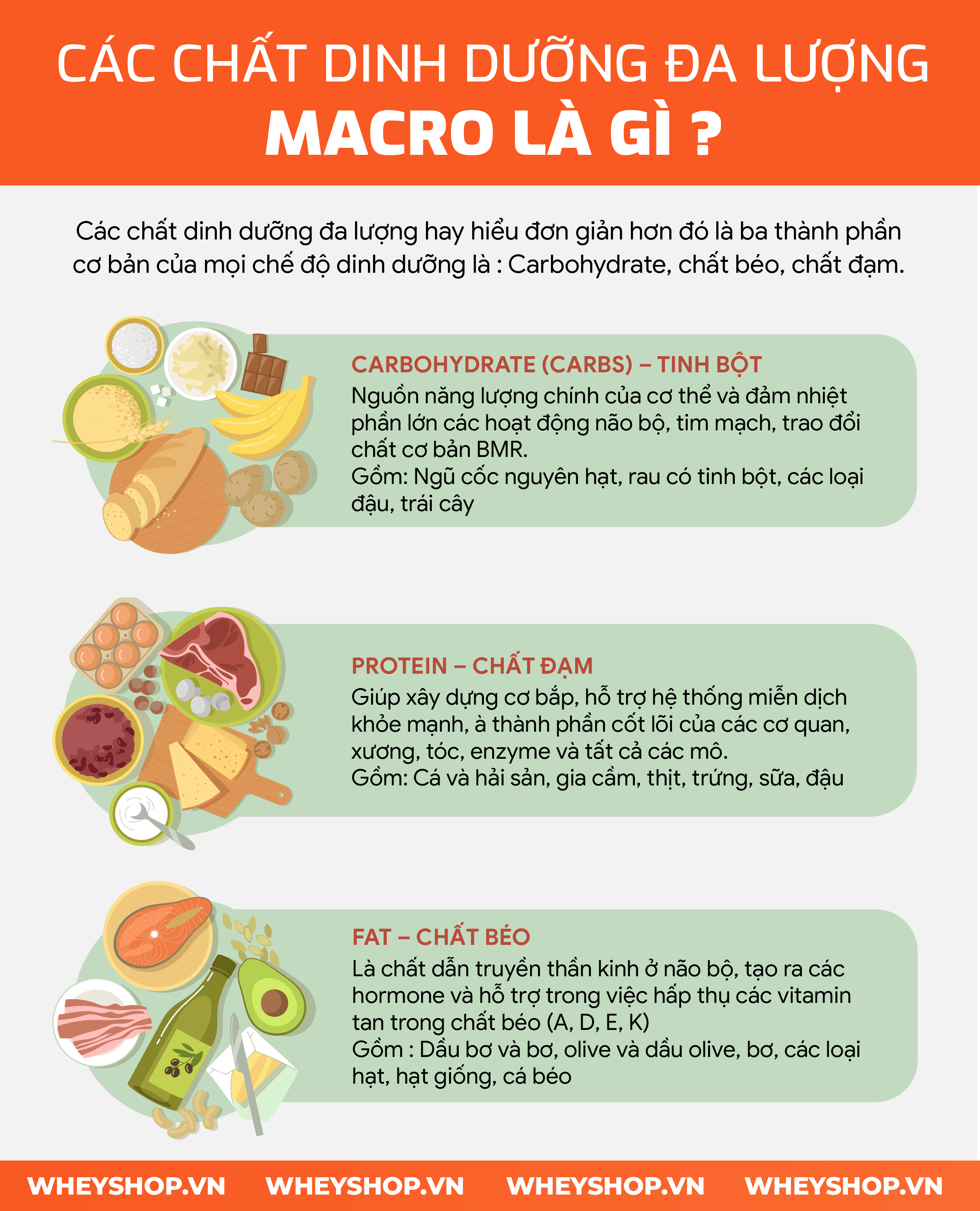 Hướng dẫn cách tính Macro từng bước vô cùng đơn giản. Macro giúp kiểm soát calories nạp vào, hỗ trợ giảm cân hiệu quả, tăng cân tăng cơ dễ dàng cho bất cứ ai...
