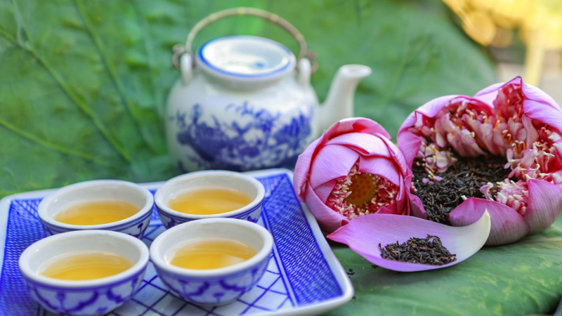Uống trà lá sen giúp giảm cân