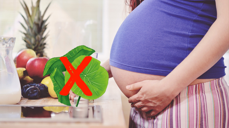 Không dùng lá sen cho phụ nữ mang thai