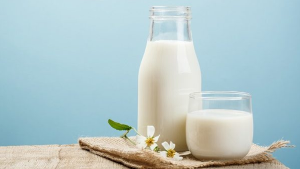 Sữa có chứa hàm lượng protein cao gây ức chế cảm giác thèm ăn và duy trì trạng thái no lâu