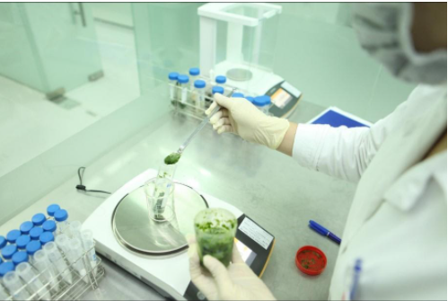 Kiểm nghiệm mỹ phẩm