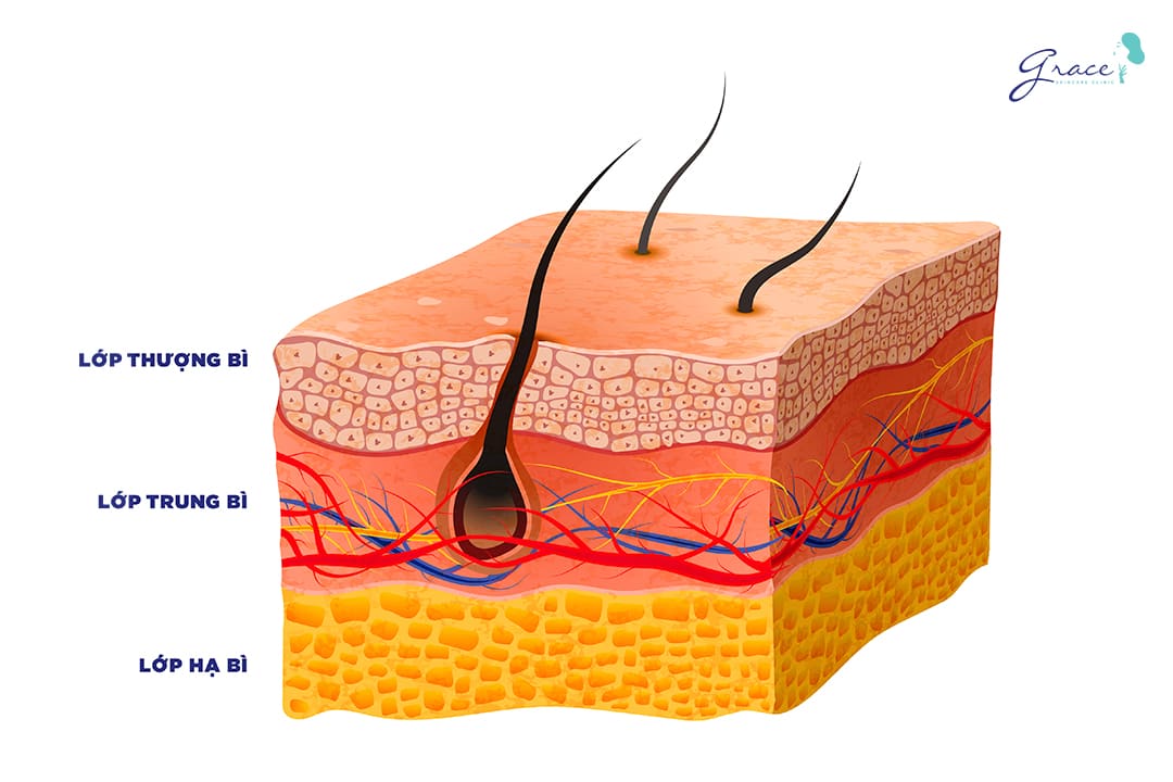 hiểu hàng rào của da để phục hồi da mặt hư tổn