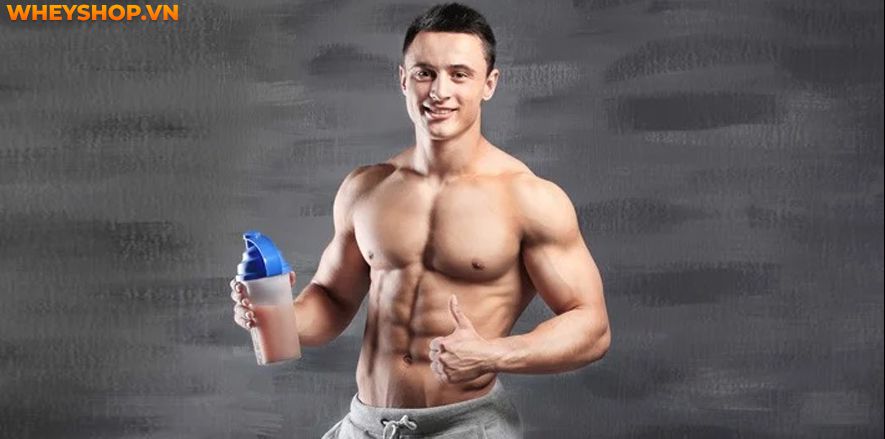 Những ai nên sử dụng Whey Protein? Tìm hiểu ngay 7 tác dụng của Whey protein đối với người tập gym thể hình đối với sức khỏe toàn diện và phát triển cơ bắp...