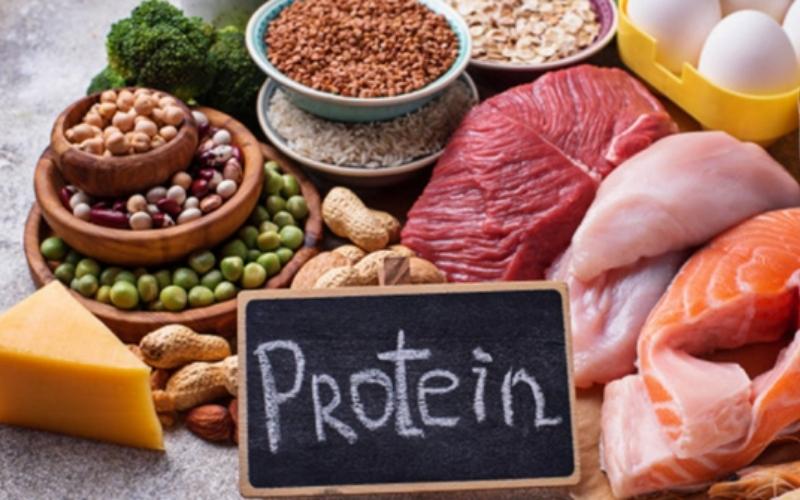 Các loại thực phẩm giàu protein