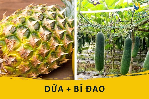 uống nước dứa có giảm mỡ bụng, uống nước ép dứa có giảm mỡ bụng không, uống nước dứa có giảm cân không, uống nước ép dứa giảm mỡ bụng, uong nuoc thom co giam can ko, uống nước dứa giảm mỡ bụng, uống nước thơm có giảm cân không, uống dứa ép có giảm cân không, nước ép dứa giảm mỡ bụng, nước dứa có giảm cân không, uống nước dứa ép có giảm cân không, uống nước dứa có béo không, uống nước ép dứa có giảm cân không, uống nước dứa có béo ko, uống nước dứa ép có béo không, nước ép dứa giảm cân, cách giảm cân bằng dứa, uống nước ép dứa giảm cân, uống nước dứa giảm cân, nước ép dứa có giảm cân không, uống nước dứa có giảm cân ko, giảm cân bằng nước ép dứa, cách uống nước dứa giảm cân, uống nước thơm giảm cân, cách giảm cân bằng nước ép dứa, uống nước ép thơm có giảm cân không, nước ép thơm có giảm cân không, uống nước ép dứa để giảm cân, nước ép thơm giảm cân, cách uống thơm giảm cân, uống nước dứa có giảm cân, nước dứa giảm cân, cách uống nước thơm giảm cân, nước ép dứa có giảm cân, uống nước ép dứa có béo không, cách giảm mỡ bụng bằng dứa và mật ong, cách uống nước ép dứa giảm cân, nước dứa có tác dụng giảm cân không, giảm cân bằng nước dứa ép, uống nước lá dứa giảm cân, uống nước dứa giảm béo, uống nước dứa có giảm cân k, uống nước ép thơm giảm cân, nước thơm giảm cân, cách uống nước ép dứa để giảm cân, nước ép dứa có béo ko, uống nước ép dứa, uống nước ép dứa đúng cách, nước dứa ép giảm cân, uống nước ép dứa có tăng cân không, cách làm nước ép dứa giảm cân, uống nước ép dứa như thế nào để giảm cân, uống nước dứa ép giảm cân, giảm cân với nước ép dứa, uống nước ép dứa khi nào là tốt nhất