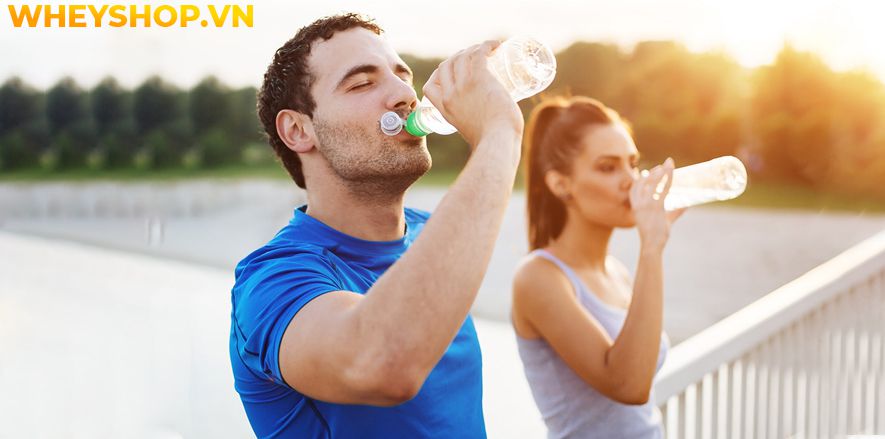 Nếu bạn đang lo lắng về việc uống nước nhiều có mập không, bụng to không thì hãy cùng WheyShop tham khảo giải đáp chi tiết qua bài viết...