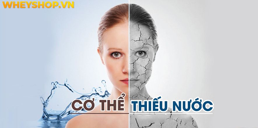 Nếu bạn đang lo lắng về việc uống nước nhiều có mập không, bụng to không thì hãy cùng WheyShop tham khảo giải đáp chi tiết qua bài viết...