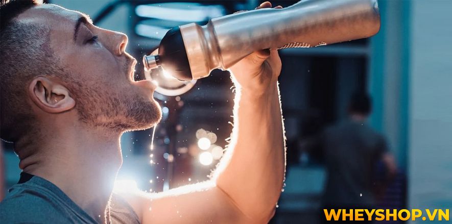 Nếu bạn đang lo lắng về việc uống nước nhiều có mập không, bụng to không thì hãy cùng WheyShop tham khảo giải đáp chi tiết qua bài viết...