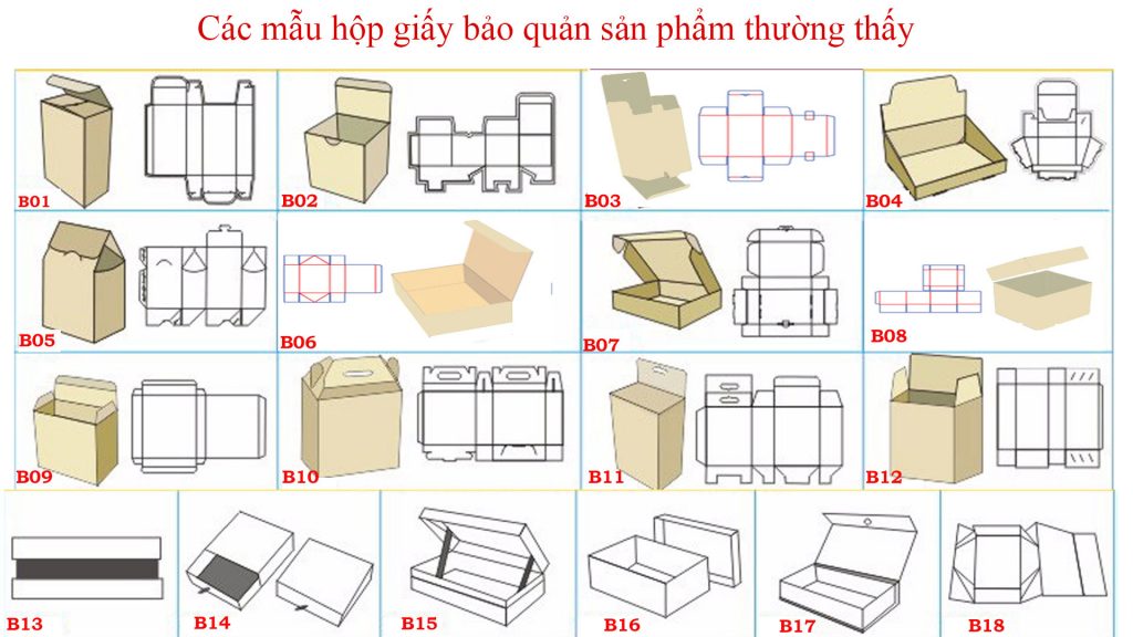 Các mẫu hộp giấy bảo quản sản phẩm thường thấy