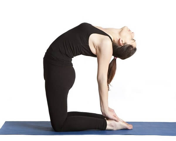 5. Tư thế con lạc đà (Camel Pose - Ushtrasana )