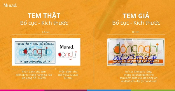 So sánh về kích thước, bố cục