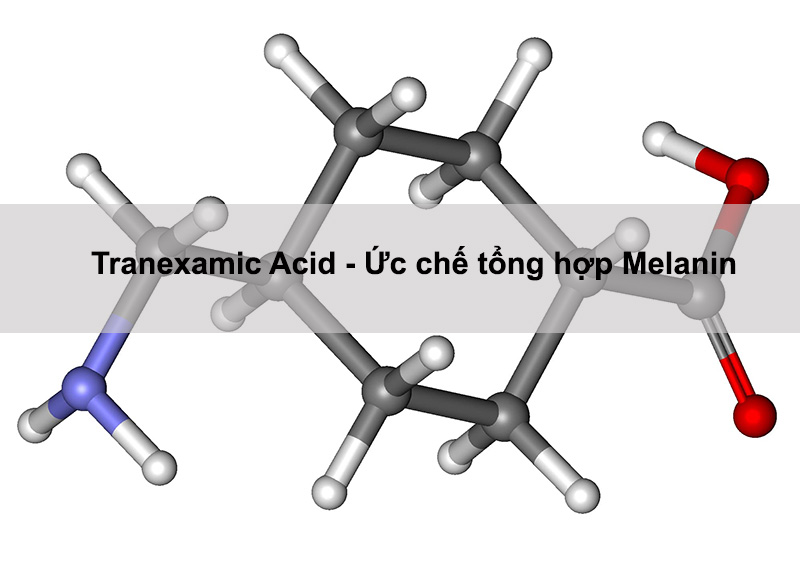 Thanh phan-TA-giup-uc_che_melanin_lam_mo_vet_tham_hieu_qua
