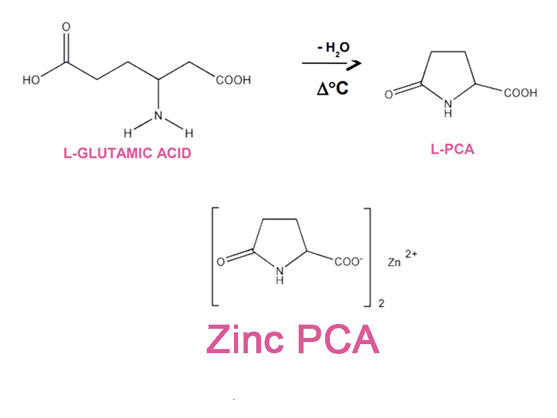 tác dụng của kẽm Zinc PCA
