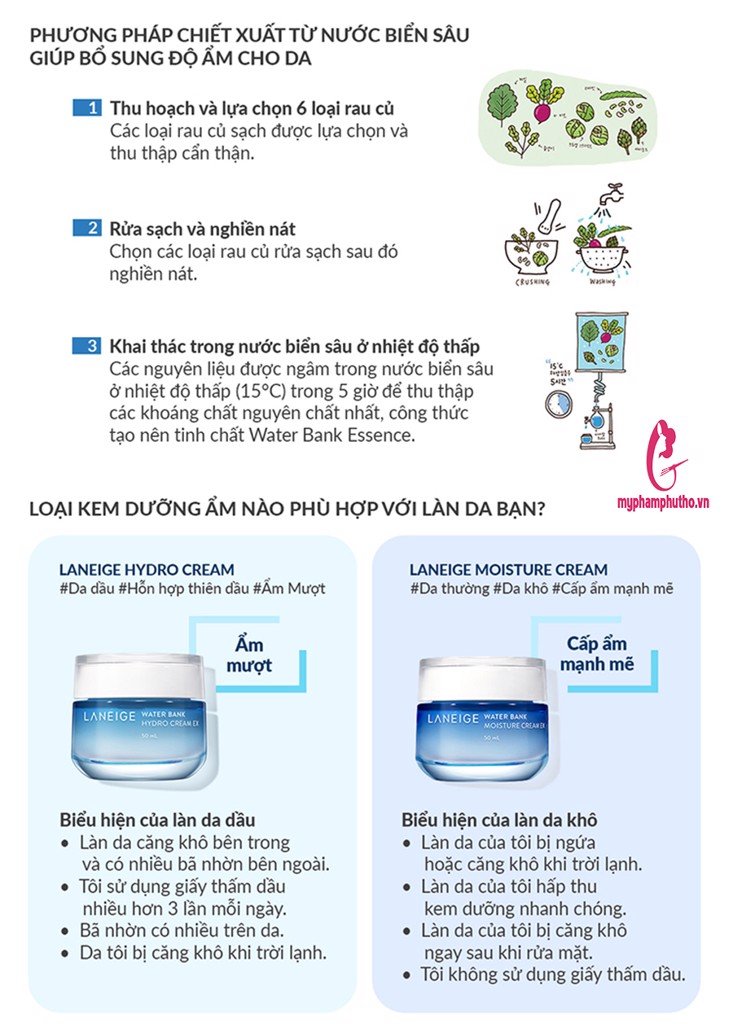Kem dưỡng ẩm Laneige Water Bank Hydro Cream EX cho da dầu mụn