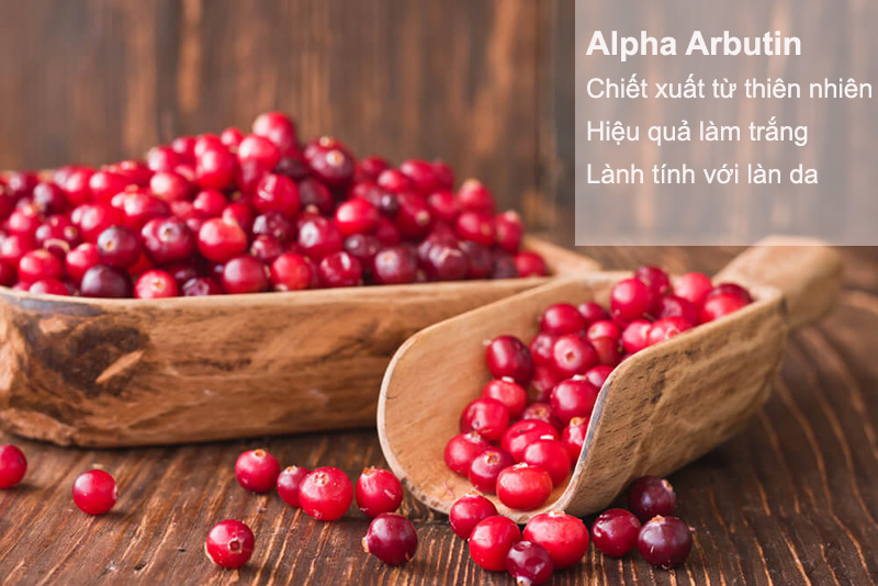 alpha arbutin tự nhiên có tác dụng làm sáng da hiệu quả