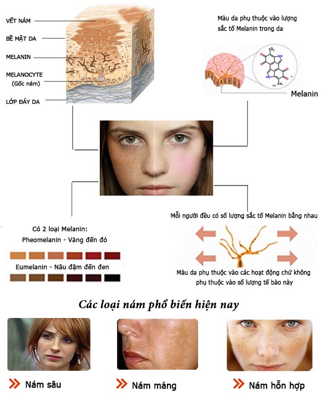 bo my pham meiya nhat ban 6 in 1 new 3