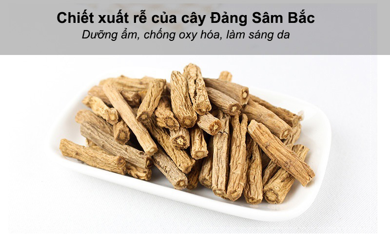 chiết xuất rễ cây đẳng sâm bắc làm sáng da hiệu quả