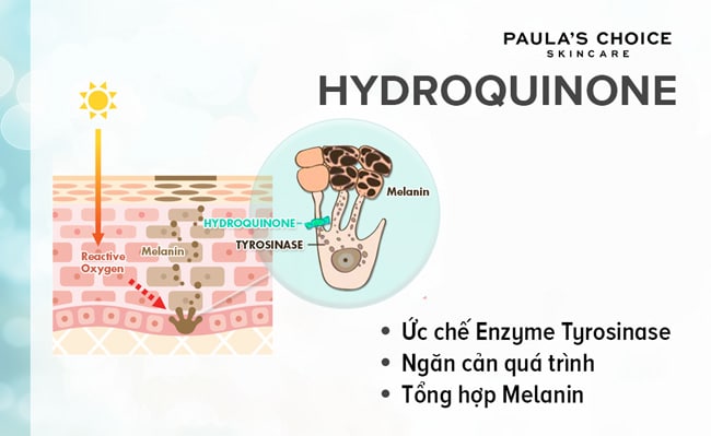 công dụng của hydroquinone đối với da
