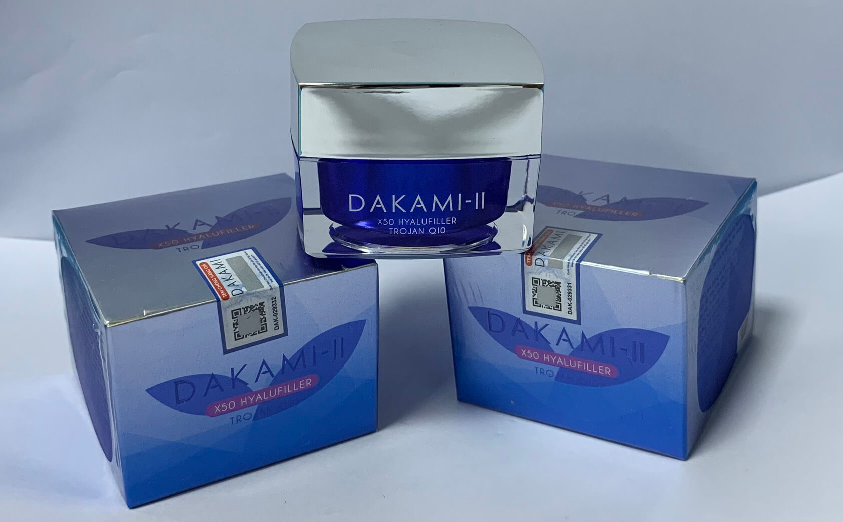 dakami-II-chinh-hang