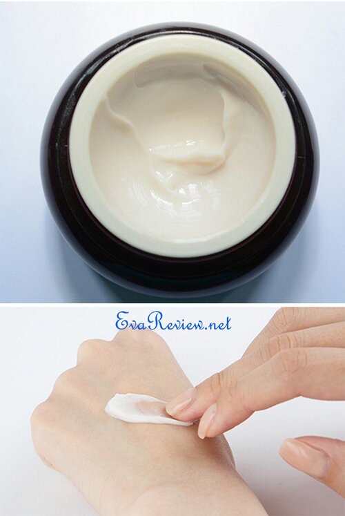 danh-gia-kem-chong-lao-hoa-innisfree-perfect-9-repair-cream-ex