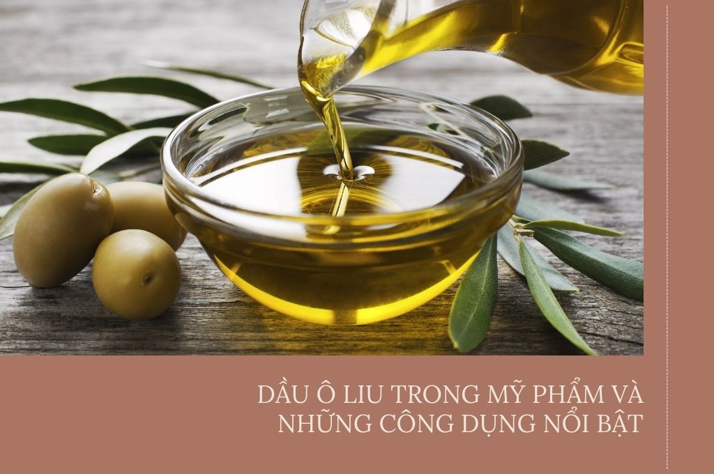 dau-o-liu-trong-my-pham-va-nhung-cong-dung-noi-bat