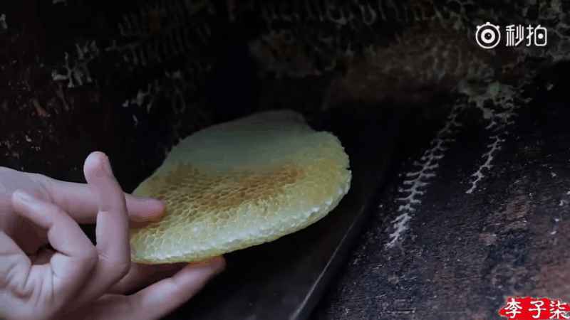 Lấy mật ong tươi từ vườn.