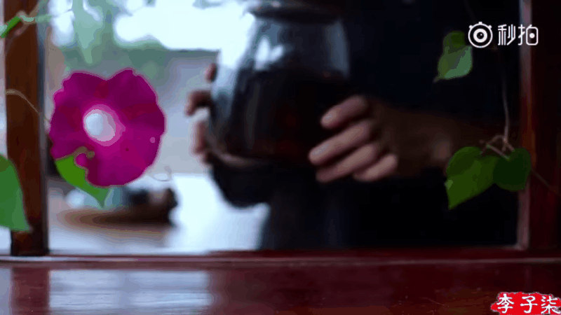 Ngâm lấy tinh chất trong vòng 10 ngày.