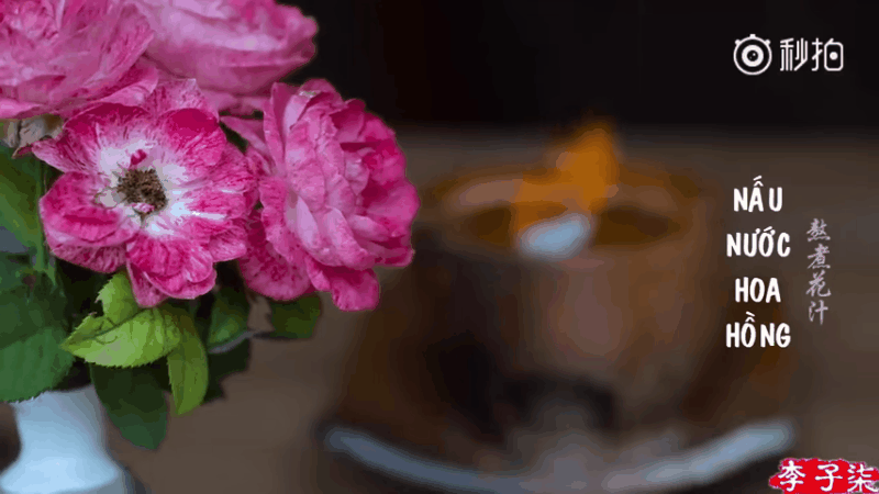 Đun nước hoa hồng để chắt nước cốt.