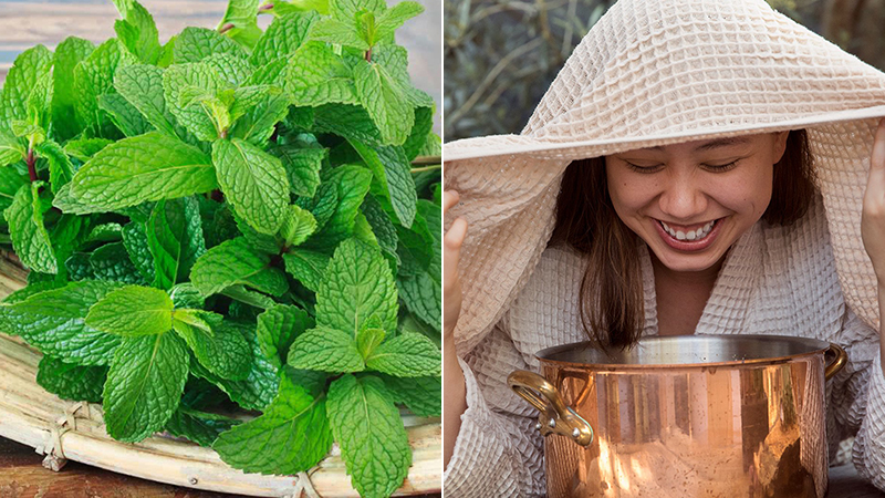 Xông hơi bằng lá bạc hà