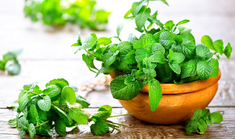 Những lưu ý khi giảm cân, giảm mỡ bằng lá bạc hà