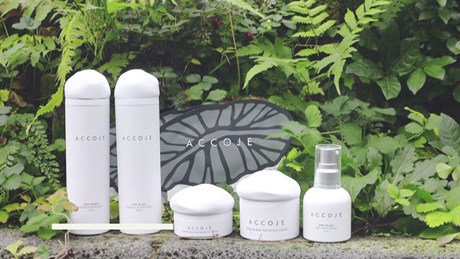 my-pham-accoje-02