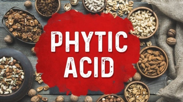Phytic Acid có trong các loại đậu