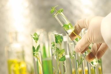 Tế bào gốc là gì? Ứng dụng của tế bào gốc trong lĩnh vực làm đẹp