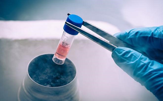 Tế bào gốc là gì? Ứng dụng của tế bào gốc trong lĩnh vực làm đẹp