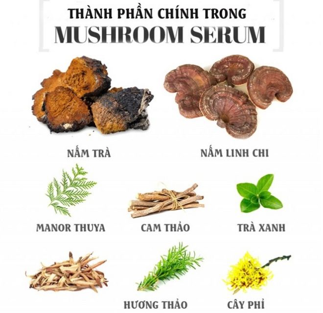 thành phần chính trong serum Kosxu trị mụn