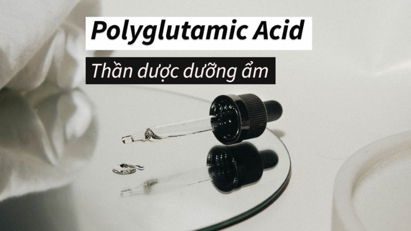 Polyglutamic Acid giữ ẩm cho làn da của bạn và tăng cường độ đàn hồi cho da