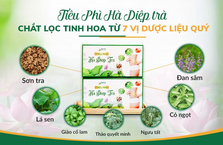 Tiêu Phì Hà Diệp trà được kết hợp từ 7 dược liệu quý cùng hiệp đồng tác dụng giảm cân, thanh lọc cơ thể