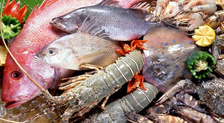 Cá và hải sản là nguồn chất đạm và bổ sung axit béo Omega-3