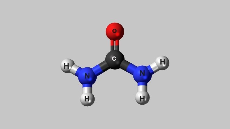 Urea là chất gì?