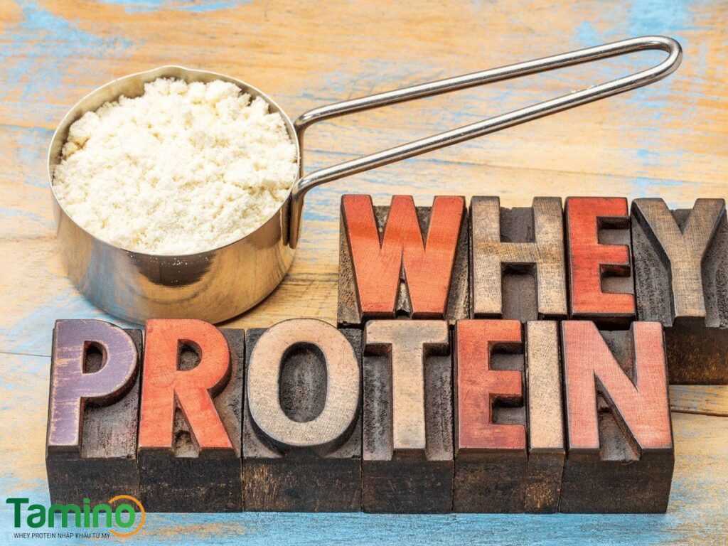 Thực phẩm chức năng tăng cơ giảm mỡ: Whey Protein